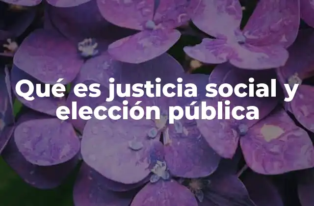 La interacción entre participación política y equidad social