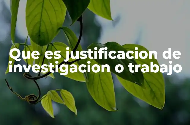 Que es Justificacion de Investigacion o Trabajo