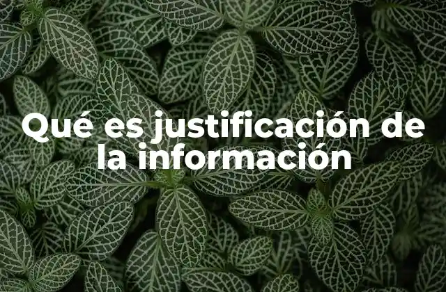 Qué es Justificación de la Información