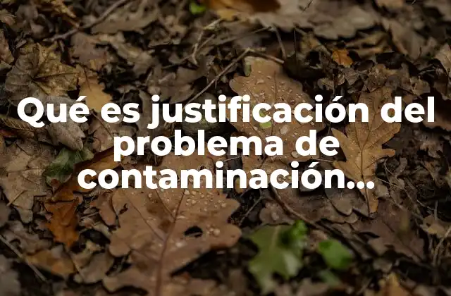 Qué es Justificación Del Problema de Contaminación Ambiental