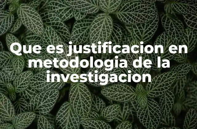 Que es Justificacion en Metodologia de la Investigacion