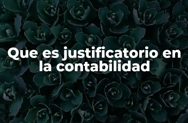 Que es Justificatorio en la Contabilidad