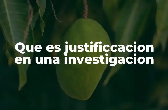 Que es Justificcacion en una Investigacion