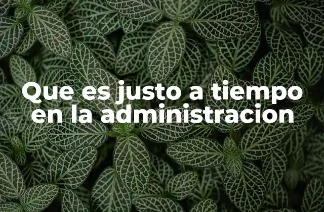 Que es Justo a Tiempo en la Administracion