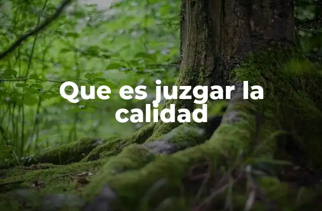 Que es Juzgar la Calidad