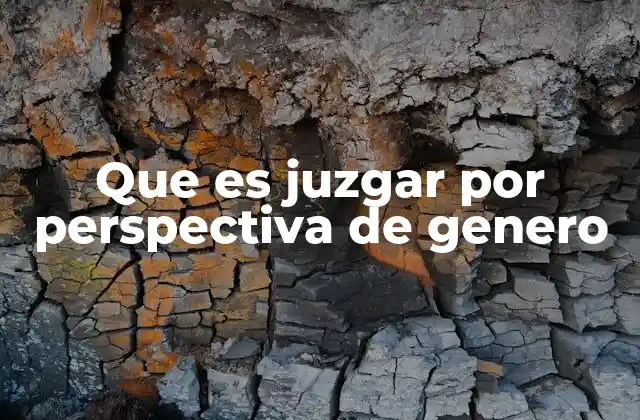 Que es Juzgar por Perspectiva de Genero