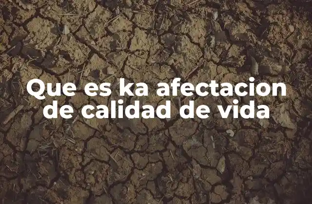 Factores que influyen en la percepción de bienestar