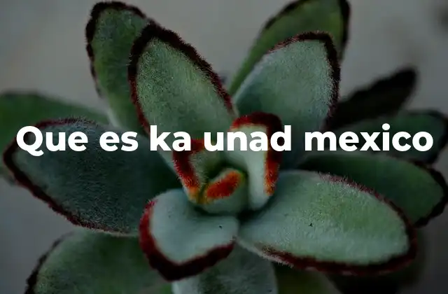 Que es Ka Unad Mexico