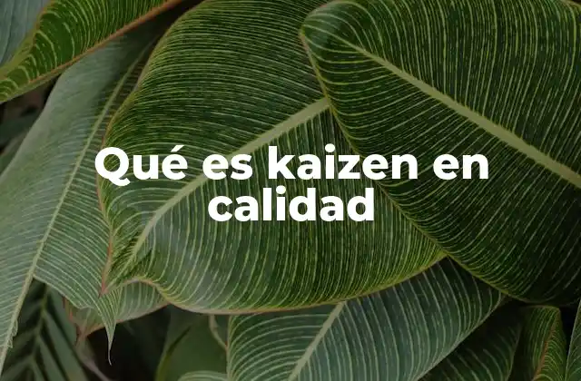 Qué es Kaizen en Calidad