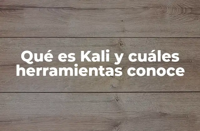 Qué es Kali y Cuáles Herramientas Conoce