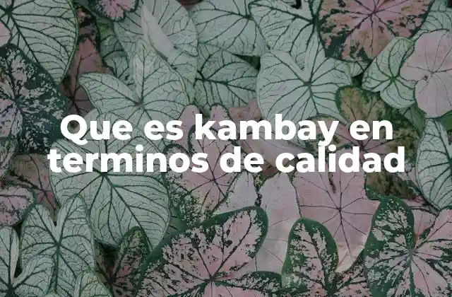 Que es Kambay en Terminos de Calidad