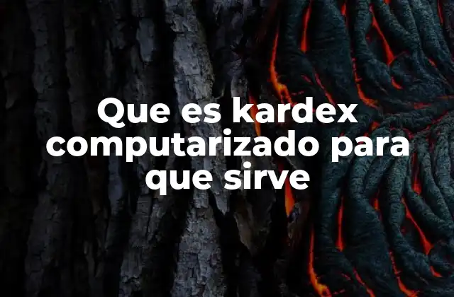 Que es Kardex Computarizado para que Sirve 2 La importancia del control de inventario en la gestión empresarial