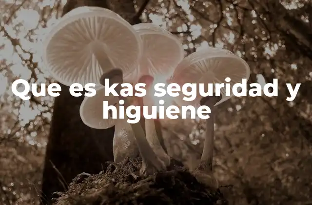 Que es Kas Seguridad y Higuiene 2 La importancia de un entorno laboral seguro y saludable