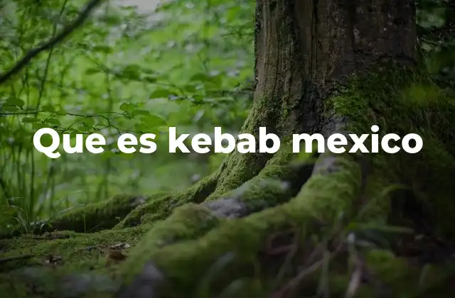 Que es Kebab Mexico