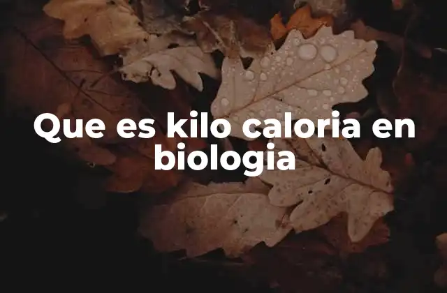 Que es Kilo Caloria en Biologia