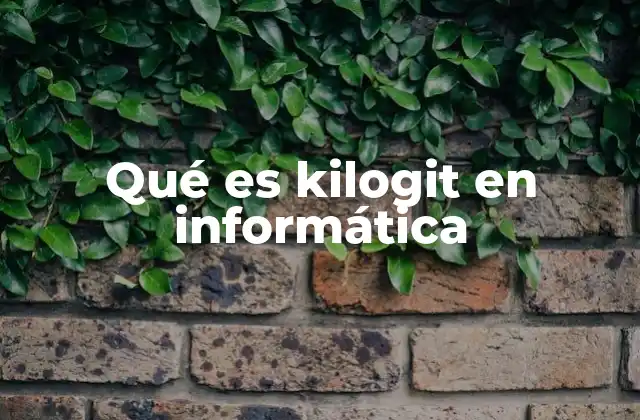 Qué es Kilogit en Informática