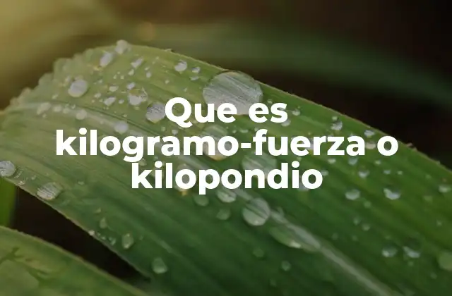 Que es Kilogramo-fuerza o Kilopondio