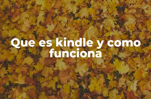 Que es Kindle y como Funciona