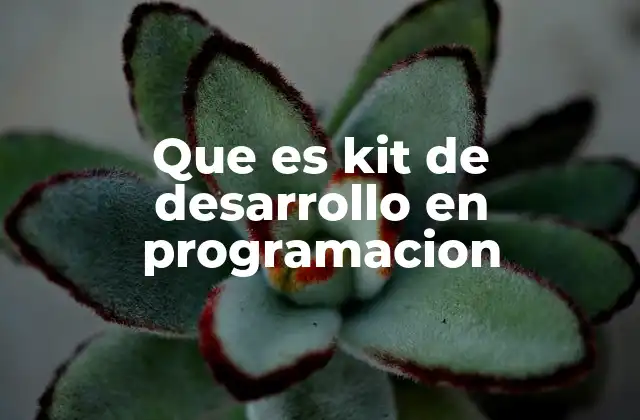Herramientas esenciales incluidas en un kit de desarrollo
