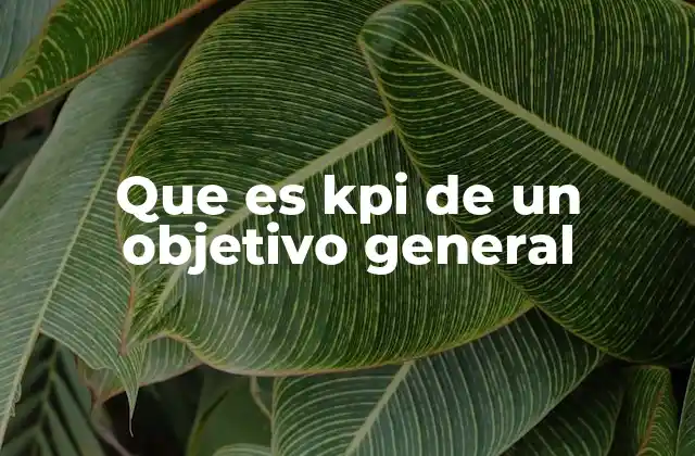 Que es Kpi de un Objetivo General