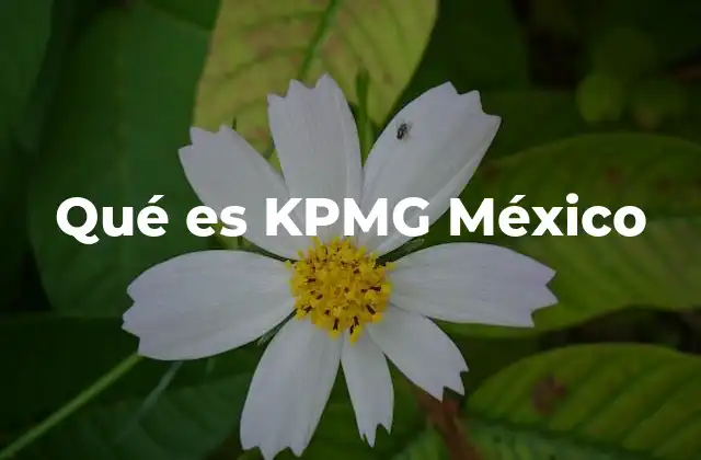Qué es Kpmg México
