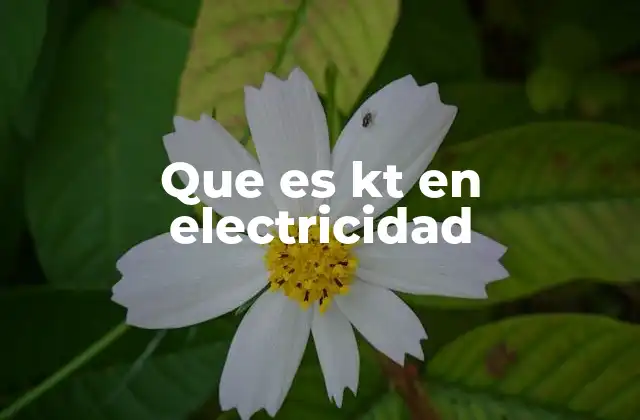 Que es Kt en Electricidad