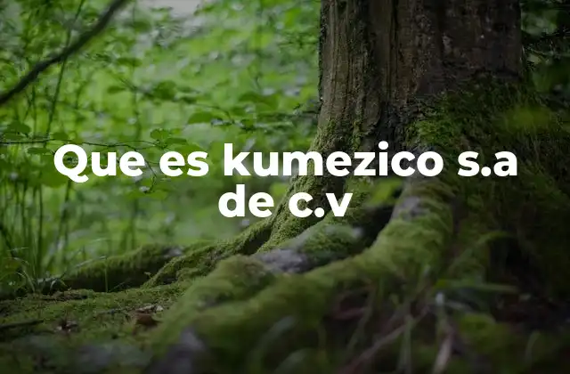 Que es Kumezico S.a de C.v