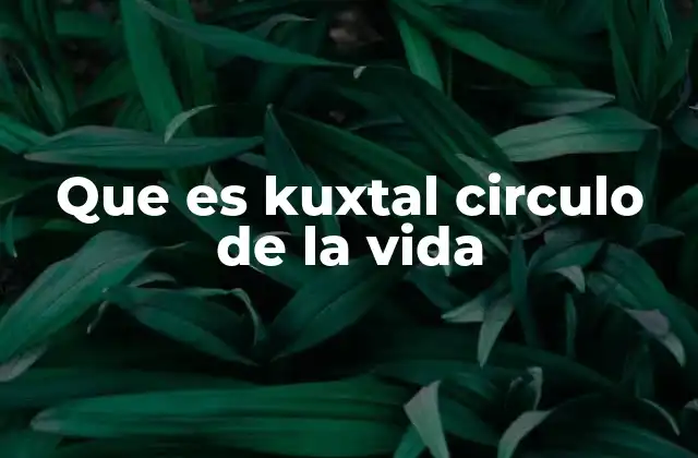 Que es Kuxtal Circulo de la Vida