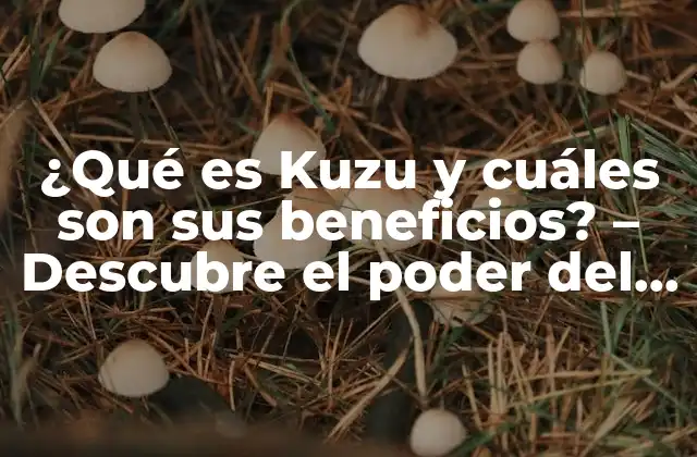 ¿qué es Kuzu y Cuáles Son Sus Beneficios? – Descubre el Poder Del Kuzu