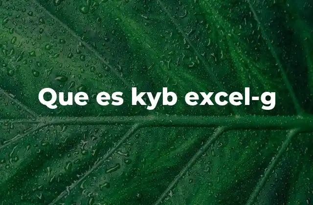 Que es Kyb Excel-g