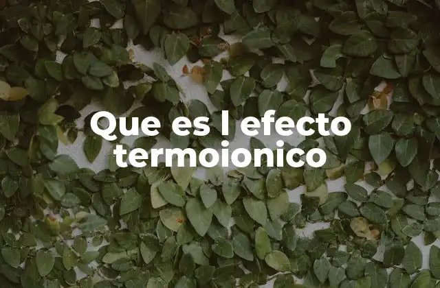 Que es L Efecto Termoionico