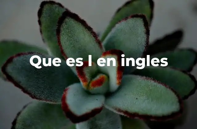 Que es L en Ingles