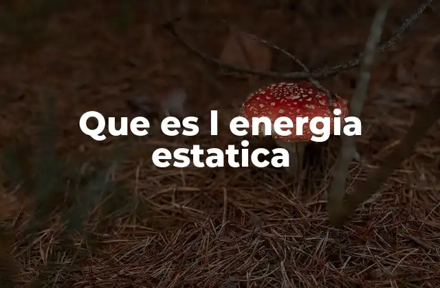 Que es L Energia Estatica