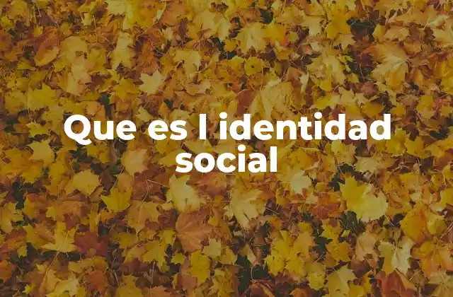 Que es L Identidad Social