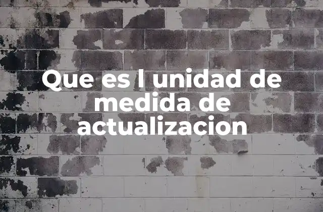 Que es L Unidad de Medida de Actualizacion