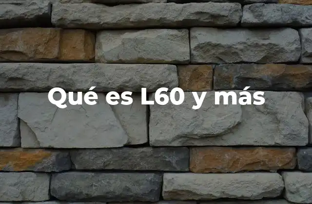 Qué es L60 y Más