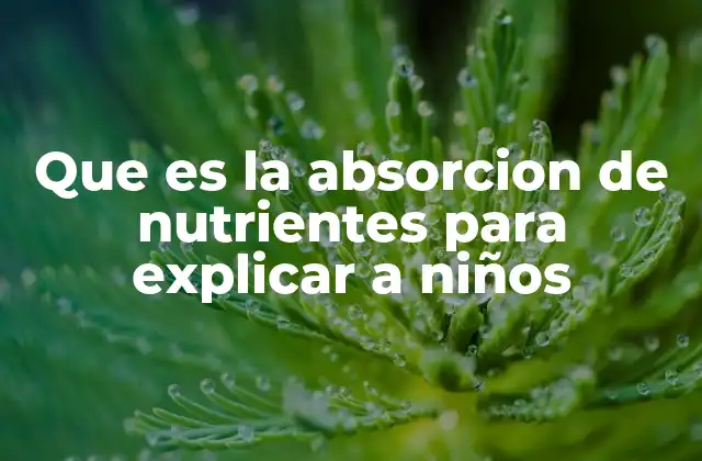 Cómo funciona el cuerpo al procesar lo que comemos