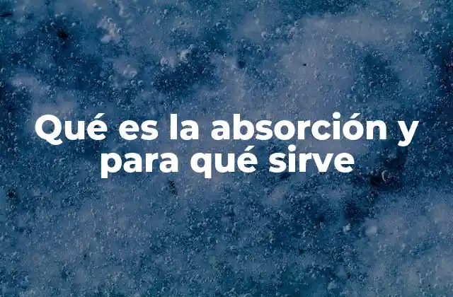 Qué es la Absorción y para Qué Sirve