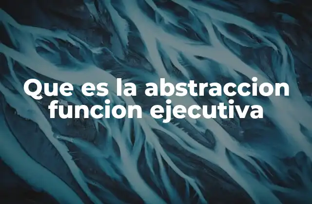 Que es la Abstraccion Funcion Ejecutiva 2 El rol de la abstracción en el desarrollo cognitivo
