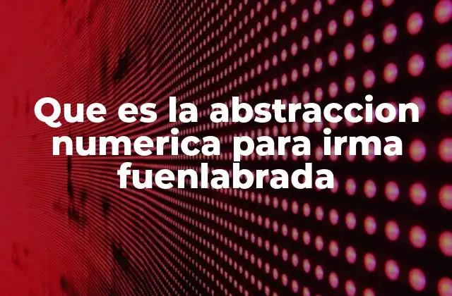 Que es la Abstraccion Numerica para Irma Fuenlabrada