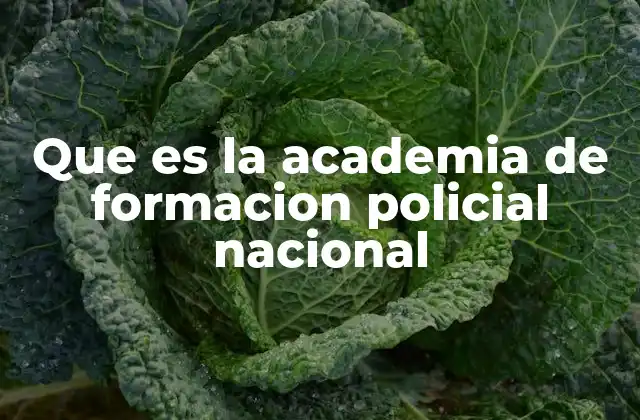 Que es la Academia de Formacion Policial Nacional