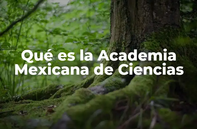 Qué es la Academia Mexicana de Ciencias 2 El papel de la Academia en la ciencia nacional