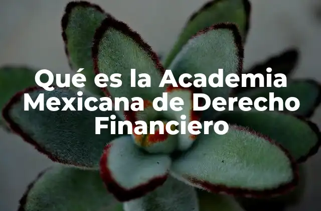 Qué es la Academia Mexicana de Derecho Financiero 2 La importancia del derecho financiero en el sistema mexicano