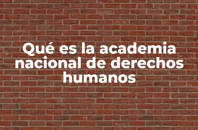 Qué es la Academia Nacional de Derechos Humanos 2 La importancia de la formación en derechos humanos en México