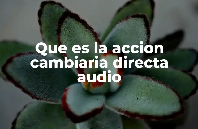 Que es la Accion Cambiaria Directa Audio 2 El papel de la acción cambiaria directa en el comercio internacional