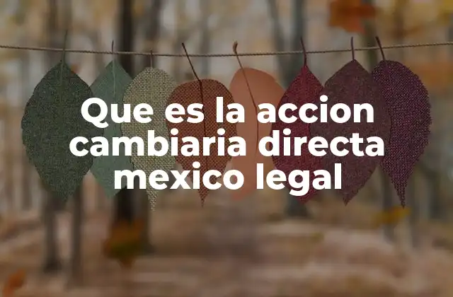 Que es la Accion Cambiaria Directa Mexico Legal