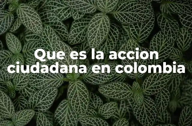 Que es la Accion Ciudadana en Colombia