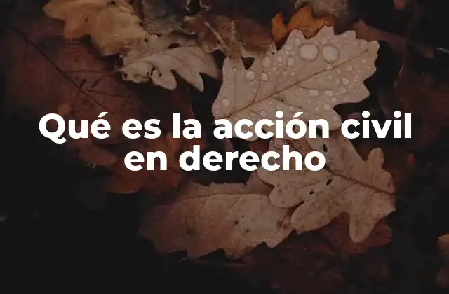 Qué es la Acción Civil en Derecho