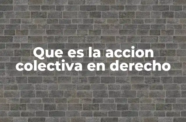 Que es la Accion Colectiva en Derecho