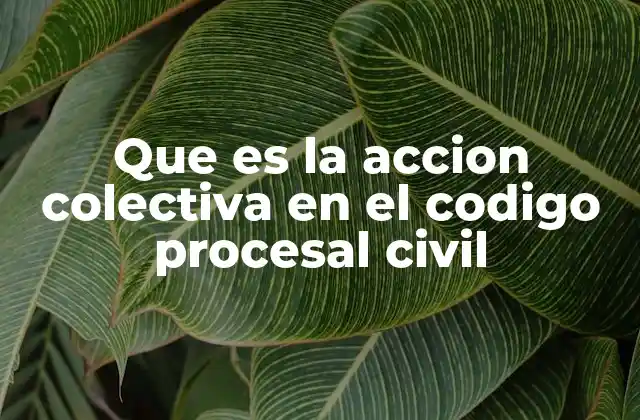 Que es la Accion Colectiva en el Codigo Procesal Civil